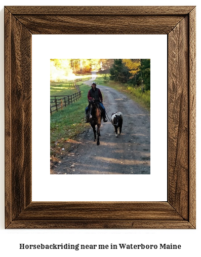 horseback riding near me in Waterboro, Maine